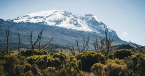 Kilimandžáro: Na vrchol Afriky