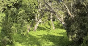 Kilimandžáro: Na vrchol Afriky