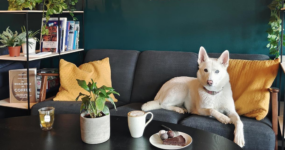 Špicberky: V rytmu psího spřežení a fjordů | Duben 2027