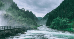 Norsko: Z jihu na západ – cesta za fjordy, horami a divočinou | Květen 2026