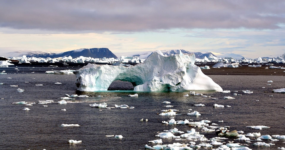 Špicberky: V rytmu psího spřežení a fjordů | Duben 2027