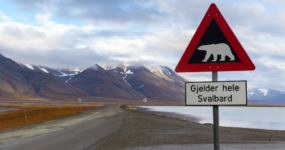 Špicberky: V rytmu psího spřežení a fjordů | Duben 2027