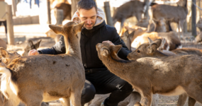 Japonsko: Od tokijských neonů po zenové zahrady