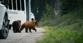 Kanada: Rockies roadtrip s fotografem  | Červen 2026