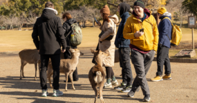 Japonsko: Od tokijských neonů po zenové zahrady - DEN 9: Nara a Ósaka - Historie a moderní zábava