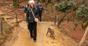 Japonsko: Od tokijských neonů po zenové zahrady