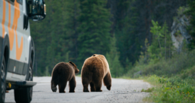 Kanada: Rockies roadtrip s fotografem  | Červen 2026