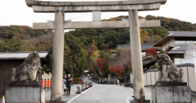 Japonsko: Od tokijských neonů po zenové zahrady