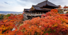 Japonsko: Od tokijských neonů po zenové zahrady