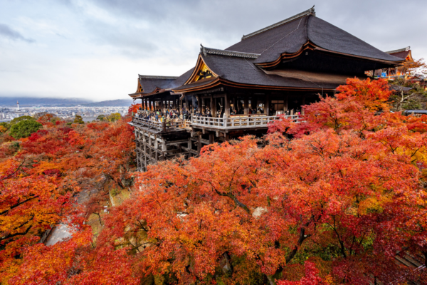 Zájezd - Japonsko: Od tokijských neonů po zenové zahrady