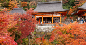 Japonsko: Od tokijských neonů po zenové zahrady