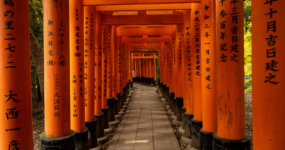 Japonsko: Od tokijských neonů po zenové zahrady