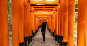 Japonsko: Od tokijských neonů po zenové zahrady