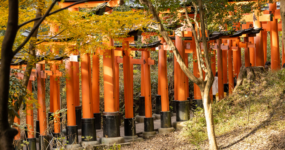 Japonsko: Od tokijských neonů po zenové zahrady