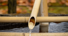 Japonsko: Od tokijských neonů po zenové zahrady