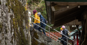 Japonsko: Od tokijských neonů po zenové zahrady