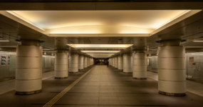 Japonsko: Od tokijských neonů po zenové zahrady