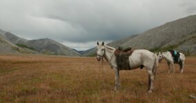 Mongolsko: Do pouště Gobi a centrálního Mongolska | Červenec 2026