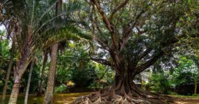 Azory: Trek a relax na ostrově São Miguel