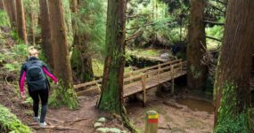 Azory: Trek a relax na ostrově São Miguel