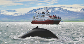 Island: Okolo ostrova | Květen 2026