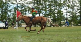 Mongolsko: Do pouště Gobi a centrálního Mongolska | Červenec 2026