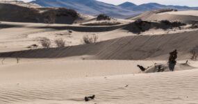 Mongolsko: Do pouště Gobi a centrálního Mongolska | Červenec 2026