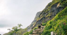 Lofoty: Za Polárním kruhem | Červen 2026