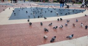 Barcelona: S dětmi za Gaudím a podmořským světem | Listopad 2026