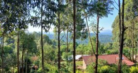 Uganda Expedice: Motorkářské dobrodružství