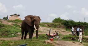 Uganda Expedice: Motorkářské dobrodružství