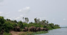 Uganda Expedice: Motorkářské dobrodružství