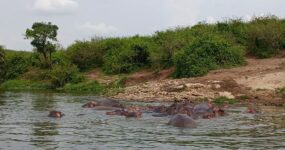 Uganda Expedice: Motorkářské dobrodružství