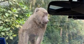 Uganda Expedice: Motorkářské dobrodružství