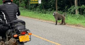 Uganda Expedice: Motorkářské dobrodružství