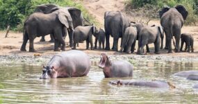 Uganda Expedice: Motorkářské dobrodružství