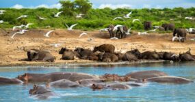 Uganda Expedice: Motorkářské dobrodružství