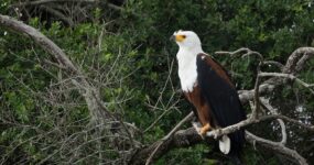 Uganda Expedice: Motorkářské dobrodružství