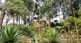 Uganda Expedice: Motorkářské dobrodružství