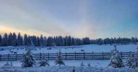 Laponsko: Zimní dobrodružství na severu