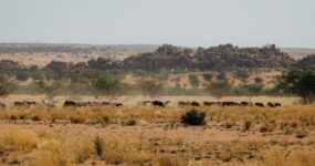 Namibie: Expediční 4×4 Roadtrip