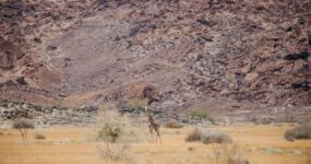 Namibie: Expediční 4×4 Roadtrip