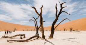 Namibie: Expediční 4×4 Roadtrip