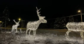Laponsko: Zimní dobrodružství na severu