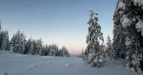 Laponsko: Zimní dobrodružství na severu