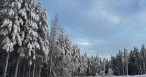 Laponsko: Zimní dobrodružství na severu