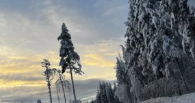 Laponsko: Zimní dobrodružství na severu