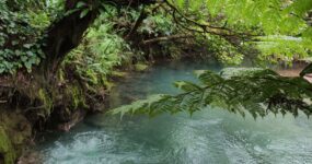 Kostarika: Pura Vida výprava pralesem až na kraj Pacifiku