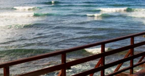 Madeira: Surf Camp