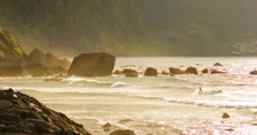 Madeira: Surf Camp